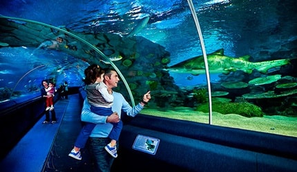 istanbul-family-tour